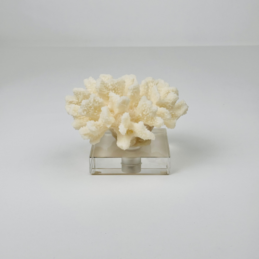 Picture of Marjan Centerpiece