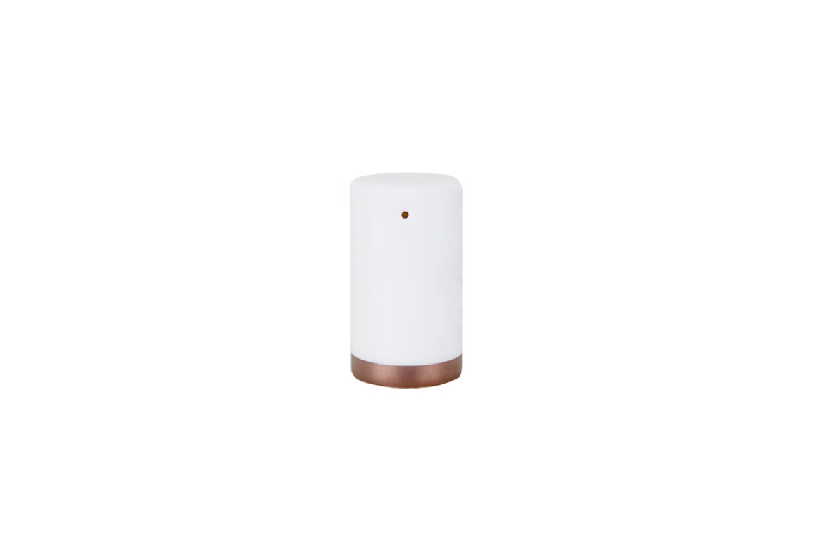 Picture of Copper Line Pepper Shaker 58mm                              