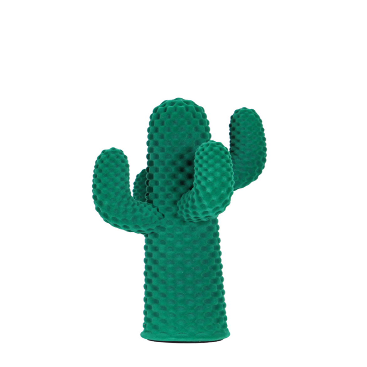 Picture of Cactus Centerpiece