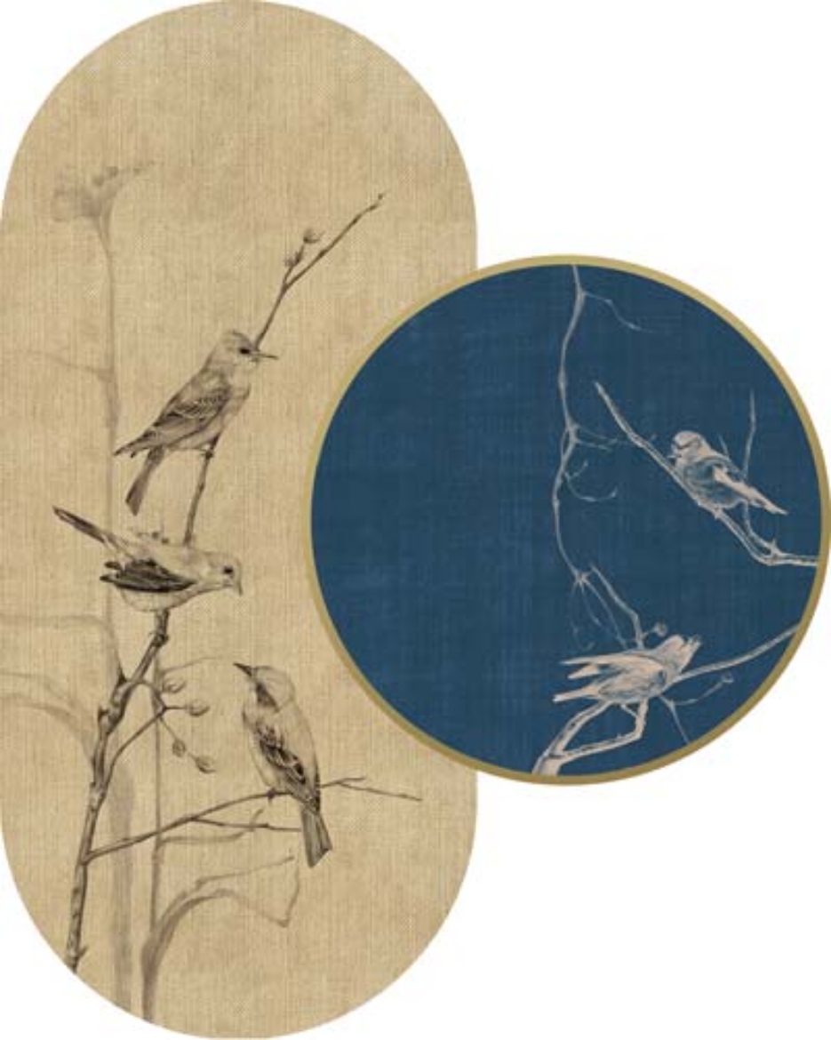 Picture of Flying Canvas